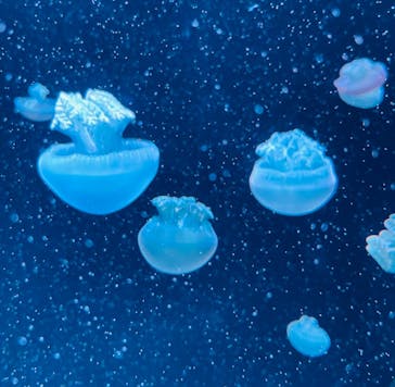 AOAO SAPPOROに投稿された画像（2023/11/3）