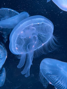 AOAO SAPPOROに投稿された画像（2023/11/3）