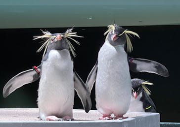 AOAO SAPPOROに投稿された画像（2023/11/3）