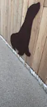 天王寺動物園に投稿された画像（2023/11/3）