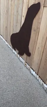 天王寺動物園に投稿された画像（2023/11/3）