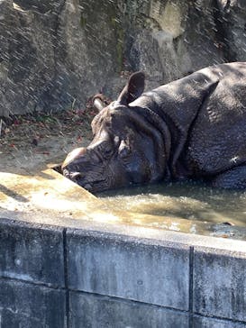 名古屋市東山動植物園に投稿された画像（2023/11/3）