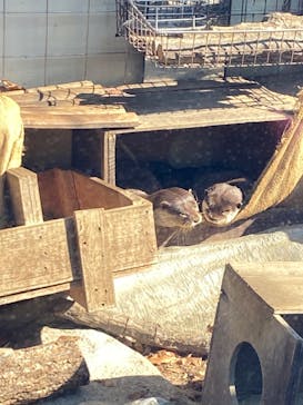 名古屋市東山動植物園に投稿された画像（2023/11/3）