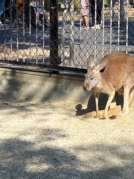 名古屋市東山動植物園に投稿された画像（2023/11/3）