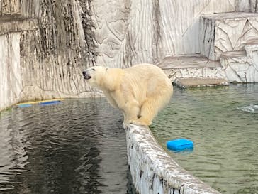 名古屋市東山動植物園に投稿された画像（2023/11/3）