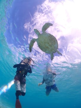 宮古島マリン GB QUESTに投稿された画像（2023/11/3）