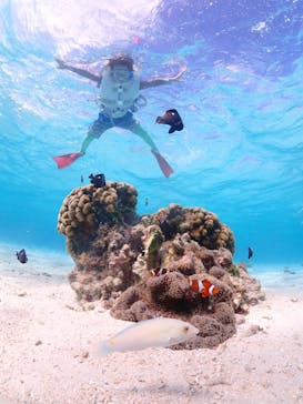 宮古島マリン GB QUESTに投稿された画像（2023/11/3）