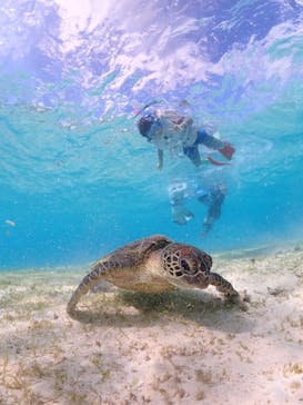 宮古島マリン GB QUESTに投稿された画像（2023/11/3）