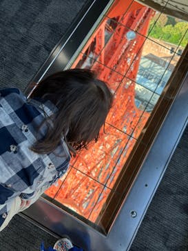 東京タワーに投稿された画像（2023/11/3）