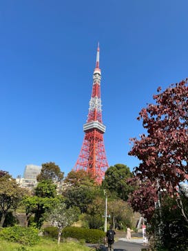 東京タワーに投稿された画像（2023/11/3）