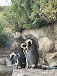 サンシャイン水族館に投稿された画像（2023/11/3）