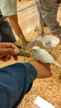 いきもの探検隊湘南に投稿された画像（2023/11/3）