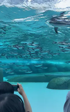 天王寺動物園に投稿された画像（2023/11/3）