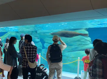 天王寺動物園に投稿された画像（2023/11/3）