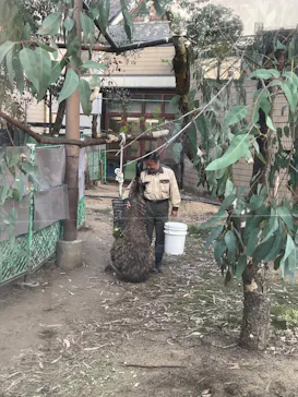 天王寺動物園に投稿された画像（2023/11/3）