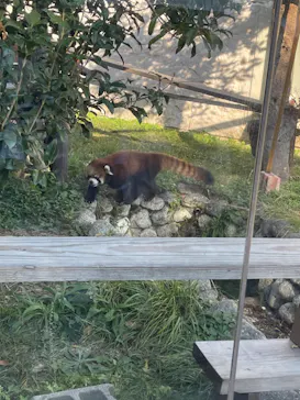 天王寺動物園に投稿された画像（2023/11/3）
