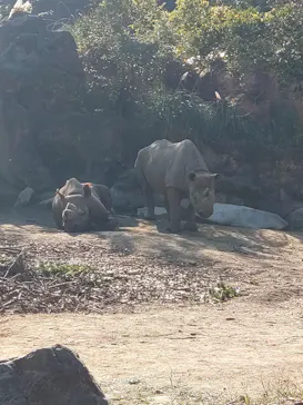天王寺動物園に投稿された画像（2023/11/3）