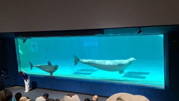 鴨川シーワールドに投稿された画像（2023/11/3）