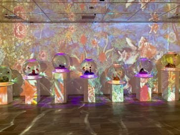 NARA KINGYO MUSEUMに投稿された画像（2023/11/3）