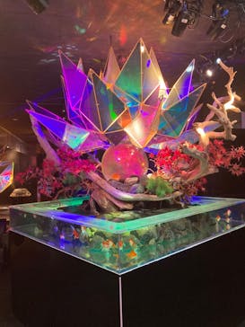 NARA KINGYO MUSEUMに投稿された画像（2023/11/3）