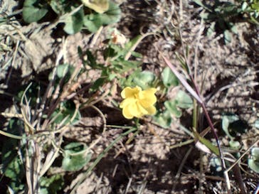 鳥取県自然体験塾に投稿された画像（2023/11/3）