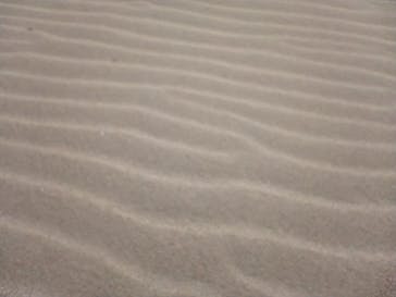 鳥取県自然体験塾に投稿された画像（2023/11/3）