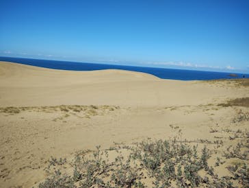 鳥取県自然体験塾に投稿された画像（2023/11/3）