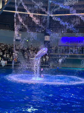 マクセル アクアパーク品川に投稿された画像（2023/11/3）