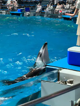 マクセル アクアパーク品川に投稿された画像（2023/11/3）