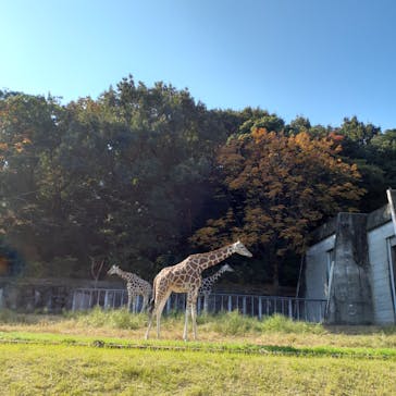 名古屋市東山動植物園に投稿された画像（2023/11/3）
