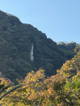 仙巌園に投稿された画像（2023/11/3）