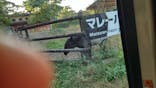 群馬サファリパークに投稿された画像（2023/11/3）