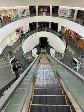 福井県立恐竜博物館に投稿された画像（2023/11/3）