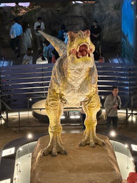 福井県立恐竜博物館に投稿された画像（2023/11/3）