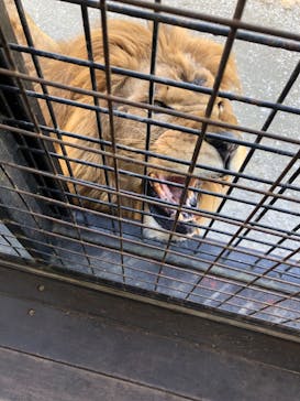 那須サファリパークに投稿された画像（2023/11/3）