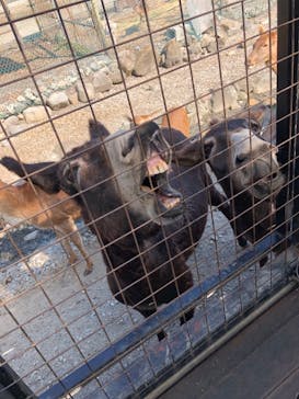 那須サファリパークに投稿された画像（2023/11/3）