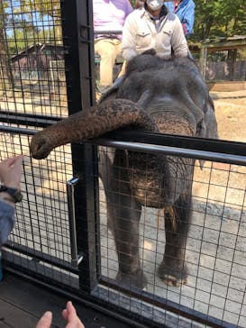 那須サファリパークに投稿された画像（2023/11/3）