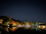 国営昭和記念公園 秋の夜散歩に投稿された画像（2023/11/3）