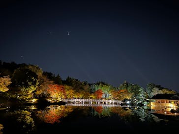 国営昭和記念公園 秋の夜散歩に投稿された画像（2023/11/3）