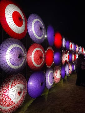 国営昭和記念公園 秋の夜散歩に投稿された画像（2023/11/3）