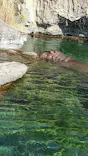 天王寺動物園に投稿された画像（2023/11/3）