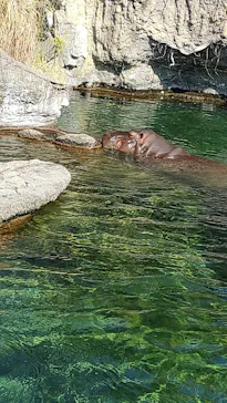 天王寺動物園に投稿された画像（2023/11/3）