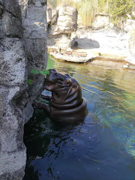 天王寺動物園に投稿された画像（2023/11/3）