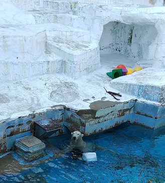 天王寺動物園に投稿された画像（2023/11/3）