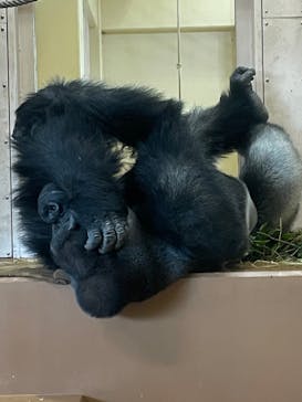 名古屋市東山動植物園に投稿された画像（2023/11/3）