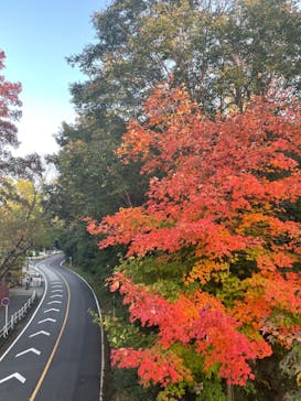 名古屋市東山動植物園に投稿された画像（2023/11/3）