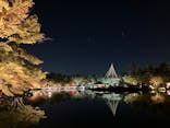 国営昭和記念公園 秋の夜散歩に投稿された画像（2023/11/3）
