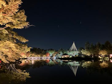 国営昭和記念公園 秋の夜散歩に投稿された画像（2023/11/3）