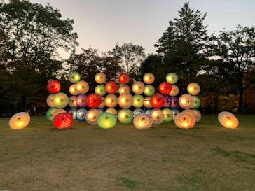 国営昭和記念公園 秋の夜散歩に投稿された画像（2023/11/3）