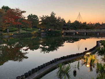 国営昭和記念公園 秋の夜散歩に投稿された画像（2023/11/3）